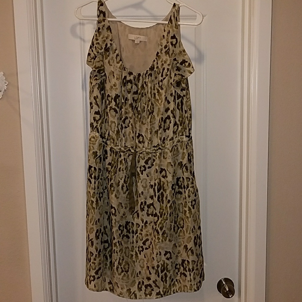 Size 12 loft dress